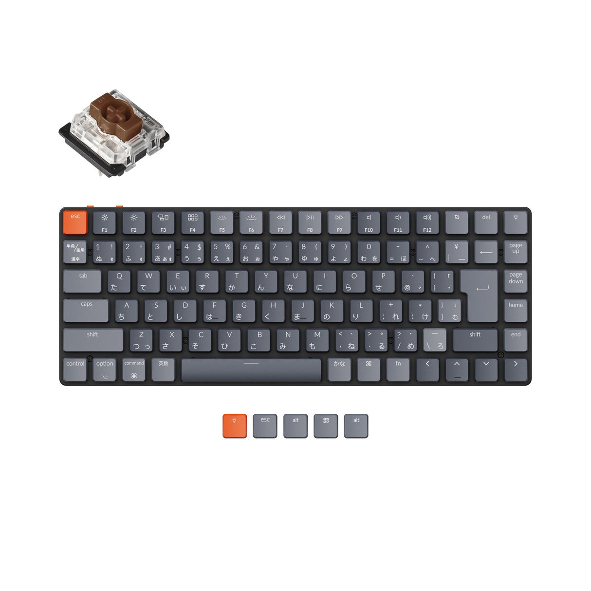 Keychron K3 JIS Japan Layout 75 Percent Low Profile Keyboard Hot Swappable Mac Windows Layout RGB Backlight Gateron Mechanical Brown