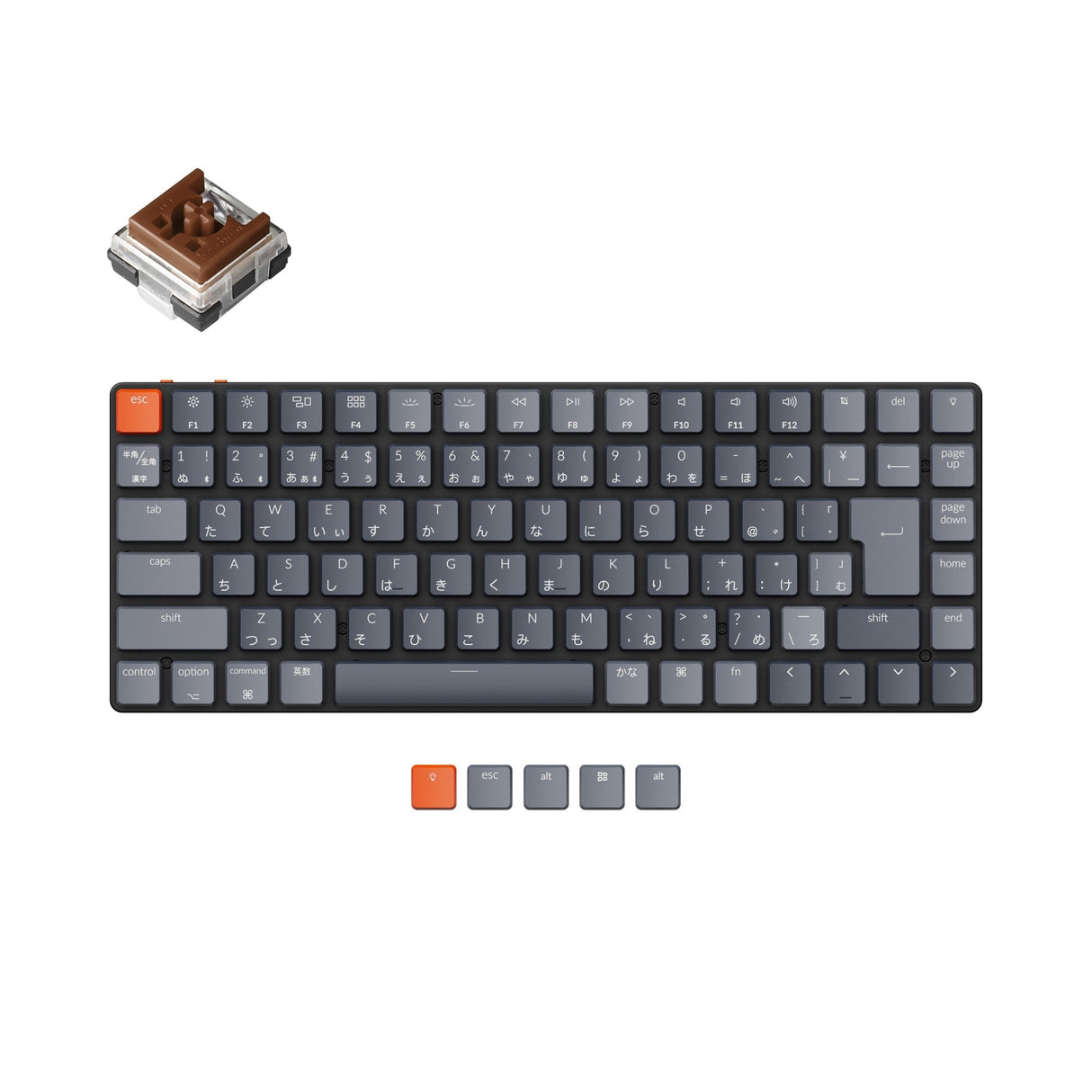 Keychron K3 JIS Japan Layout 75 Percent Low Profile Keyboard Hot Swappable Mac Windows Layout RGB Backlight Keychron Optical Brown