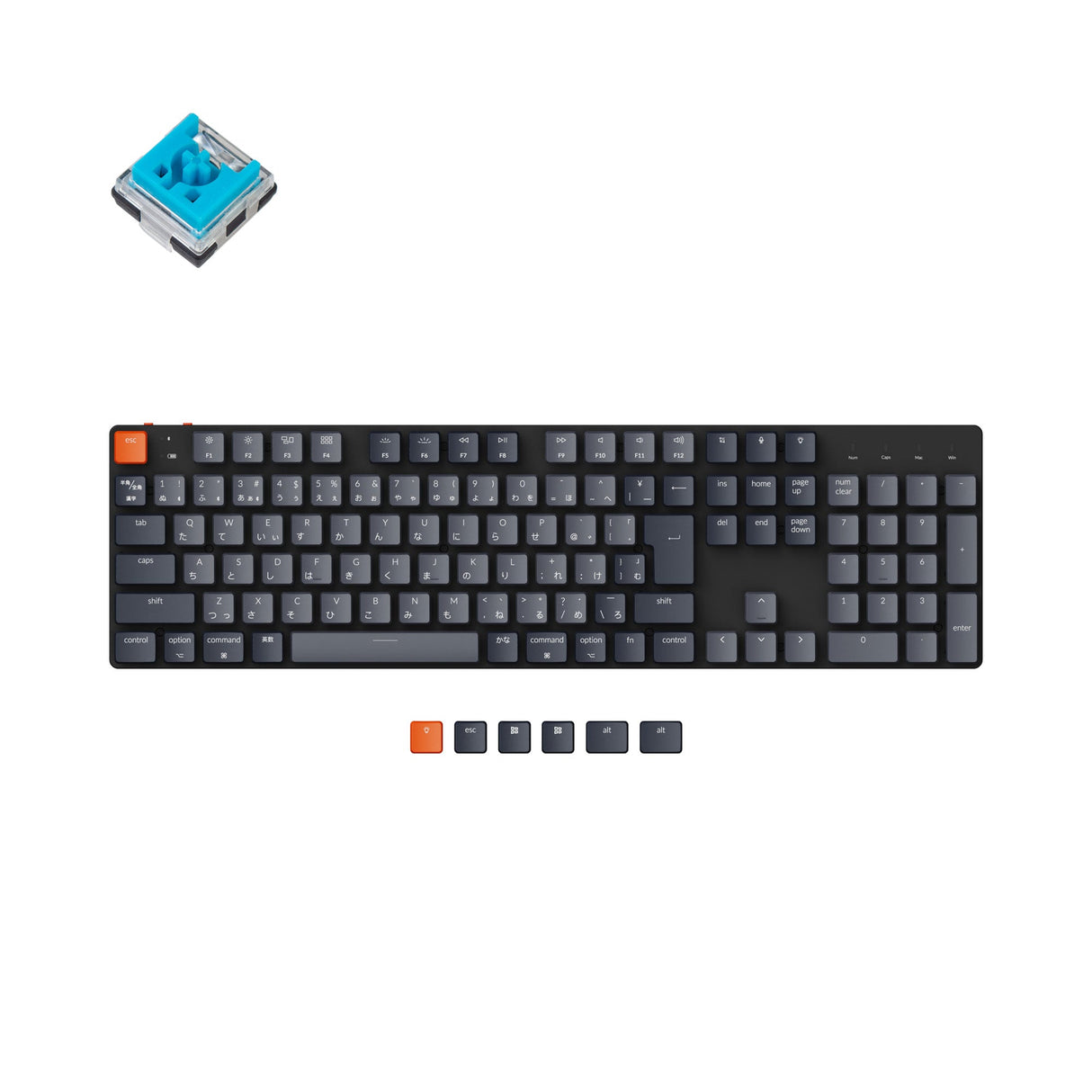 Keychron K5 SE Japan JIS Layout Wireless Ultra Slim Low Profile Mechanical Keyboard White Backlight Hot Swappable Keychron Optical Switch Blue