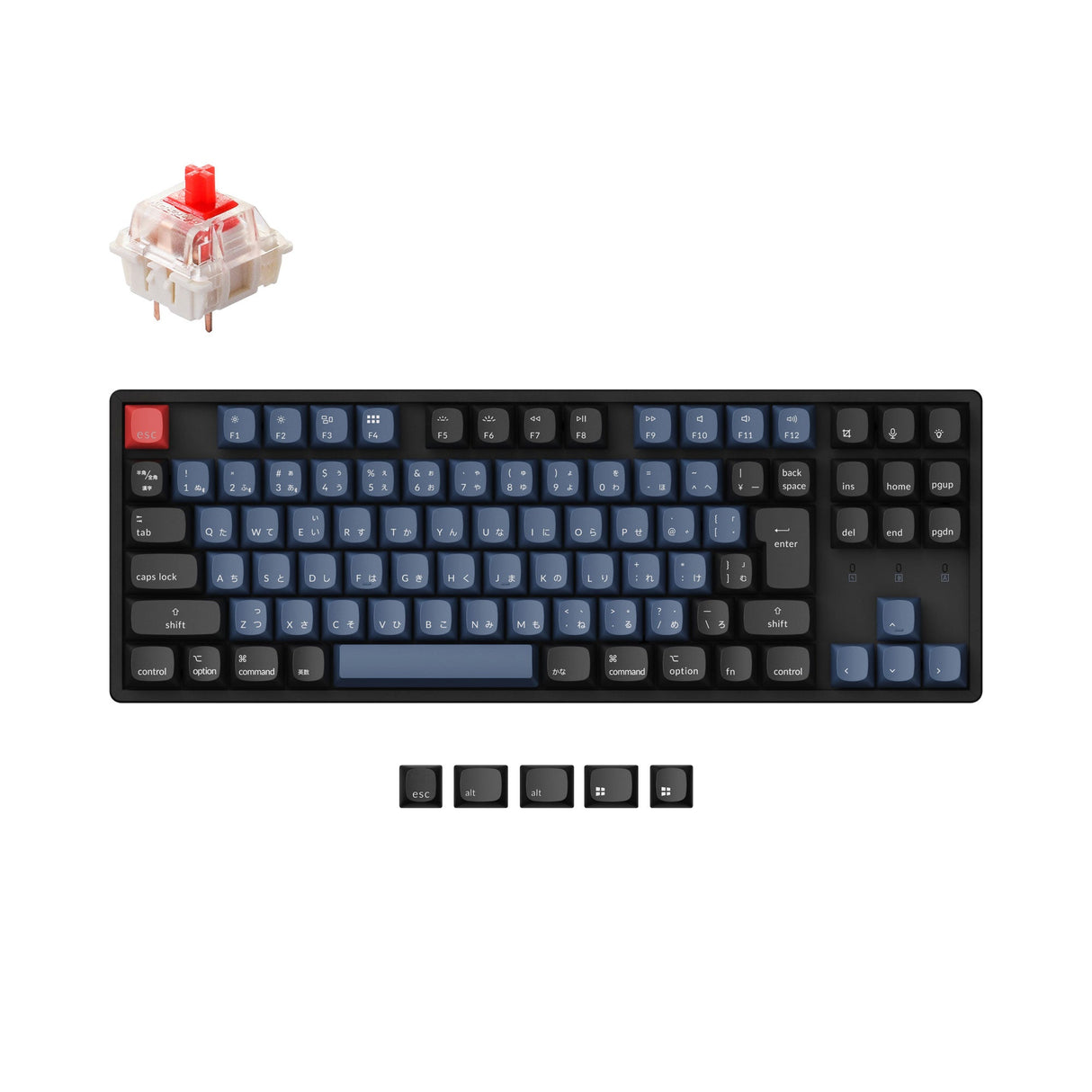 Keychron K8 Pro QMK/VIA Wireless Mechanical Keyboard 80 Percent Tenkeyless Japan JIS Layout for Mac Windows Hot-Swappable Gateron G Pro Mechanical Red Switch