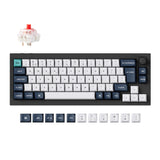 Keychron Q2 Max QMK/VIA wireless custom mechanical keyboard 65 percent layout full aluminum black for Mac Windows Linux Gateron Jupiter red ISO UK layout